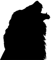 Bear with Cub Silhouette Vector © Rezowan 