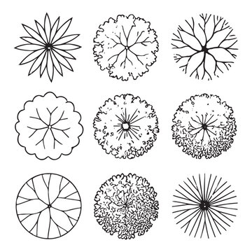 CAD Trees Top View Set &ndash; Landscape Design and Architectural Elements