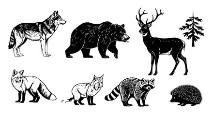 Obraz premium Black and White Line Art Forest Wildlife Animals and Pine Tree Set - Vintage Illustration