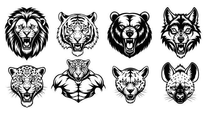 Fierce Wild Animal Heads Black  White Line Art for Sports  Mascot Design