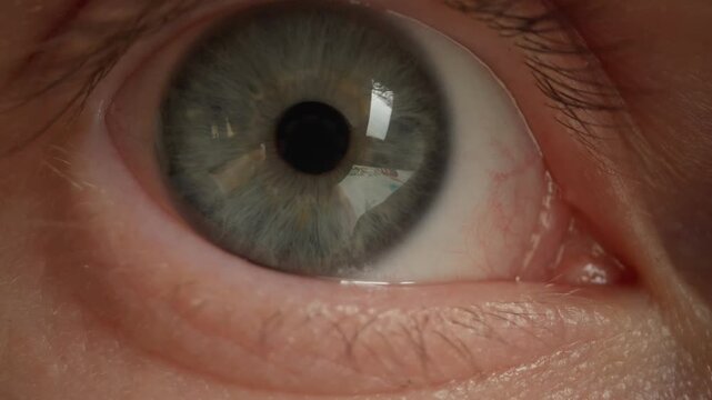 Macro Eye Closeup Revealing Blue Iris Caucasian Subject Under Crisp Studio Light, Eyelid Blinks While Tear Reflection Catches Highlight, Pupil Responds To Light, Optometrist Performs Focus Test, Close