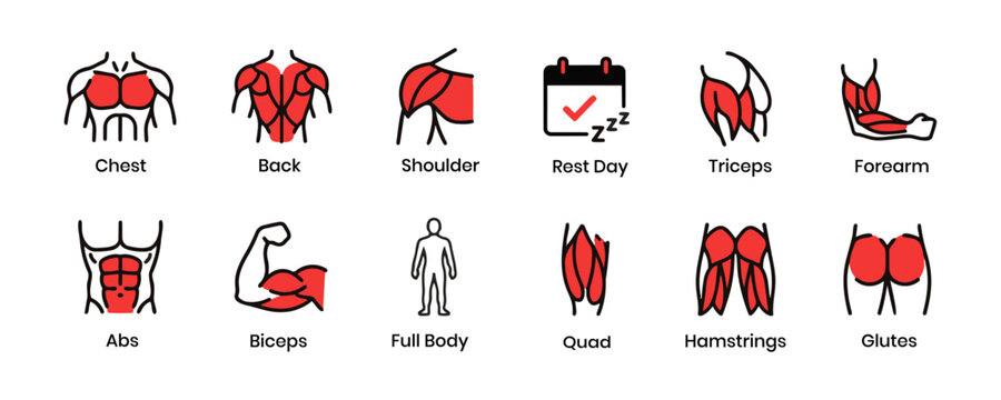 Workout Muscle Group Icons Set. Fitness Anatomy Training Fill and Stroke Icons Vector Illustration