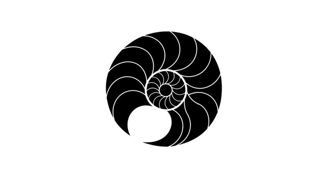 Black Nautilus Shell Spiral Design.