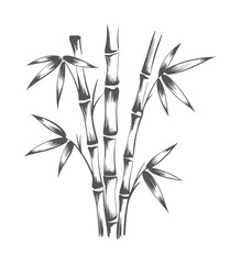 Minimalist black and white ink of bamboo stalks and leaves plant leaf