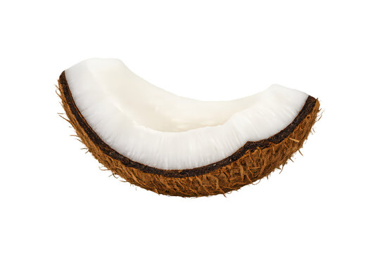 Coconut piece presenting white inner pulp and hairy brown outer shell, a fresh tropical fruit item for healthy eating, isolated