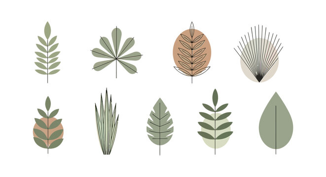 Collection of Various Green Leaves and Foliage.