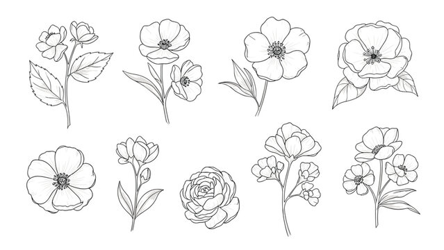 Delicate and detailed collection of hand-drawn outlined flowers, including various blossoms and buds with a subtle dashed line texture, perfect for elegant botanical illustrations.