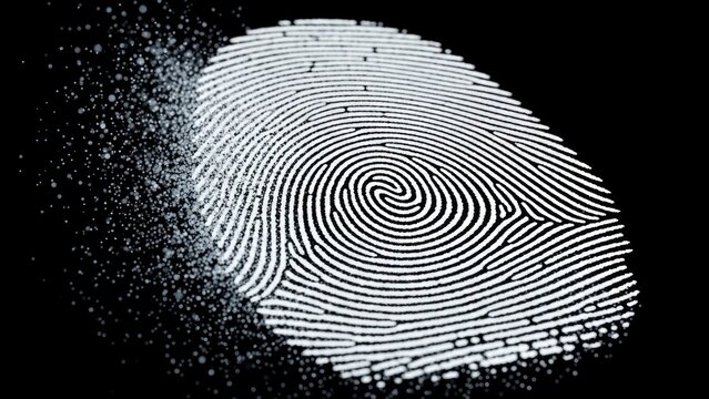 Fingerprint trace