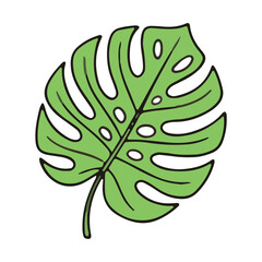 Monstera Leaf Illustration