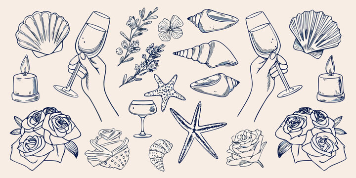 A delicate collection of hand drawn shells flowers and celebratory glassware
