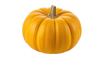 Obraz premium Isolated autumn squash with stem for Halloween or Thanksgiving festive table display