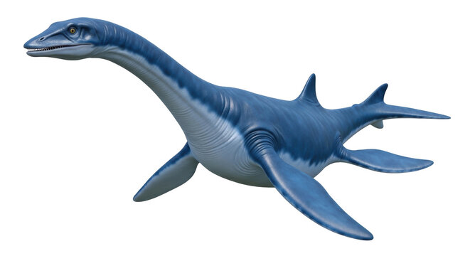 Isolated Jurassic Plesiosaur Reptile with Long Neck and Four Paddles on No Background