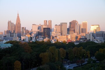 Obraz premium Shinjuku skyscraper skyline at sunrise with green forest in Tokyo, Japan.