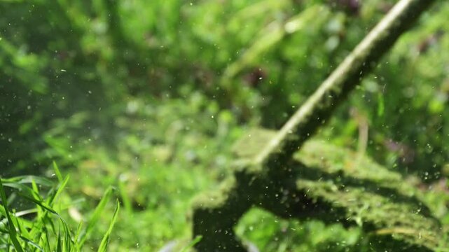 Close-up view of grass trimmer head cutting lawn vegetation in sunlight, garden maintenance equipment in action. 4K.