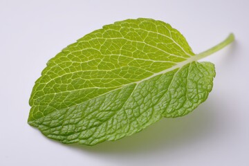 Close Up of Single Bright Green Mint Leaf with Intricate Veins and Short Stem on Plain White Surface Emphasizing Culinary Freshness And Detailed Texture