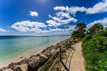 Fototapeta premium Scenic coastal path with palm trees and rocky shoreline along the turquoise ocean in the Florida Keys, USA