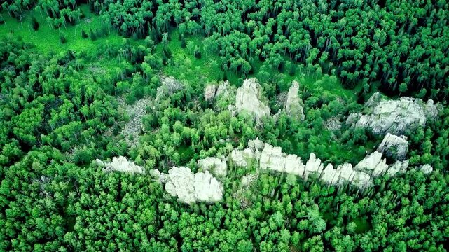 Bird's eye view on mixed green forest and rocks from mountain during summer day. Aerial view of a through deep forest. Bird eye view of a Green Forest road. Drone shot.