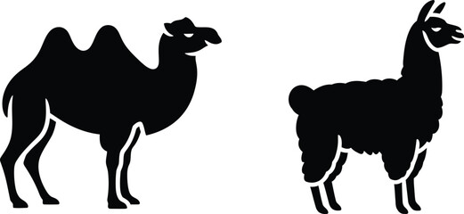 Silhouette of a camel and a llama standing side by side © MDSAMIN