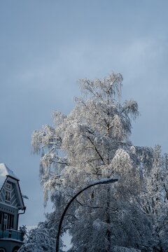 Landscape view of snow photographed in Hamburg for stock usage.