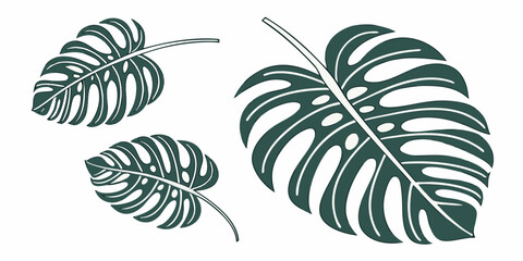 Three distinct types of leaves showcasing their unique shapes and patterns. © Mamun