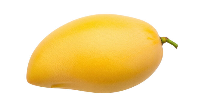 Isolated, whole ripe yellow mango fruit on a plain surface for healthy eating concepts