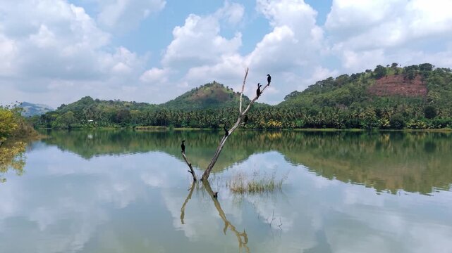 Bird Flying Towards Drone Over Calm Lake With Beautiful Mountain Landscape &ndash; Aerial Nature Shot