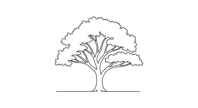 Simple Black Line Drawing of Tree.