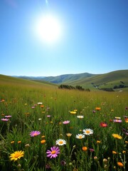 Fototapeta premium Sun-drenched meadow with wildflowers and rolling hills under a clear blue sky, sunny, blooming