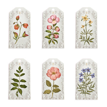 Collection of six embossed paper tags with floral in various colors floral embossed white background