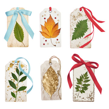 Assorted vintage style tags with pressed leaves and ribbons in various colors blue
