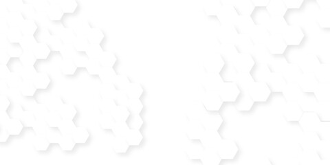 Fototapeta premium Abstract background with hexagon, modern abstract polygonal pattern. Futuristic abstract honeycomb technology white background. Luxury white hexagon pattern.