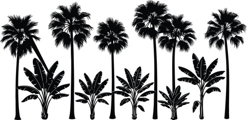 Black silhouette collection of tropical palm and banana trees isolated on white background for summer vacation and exotic nature design