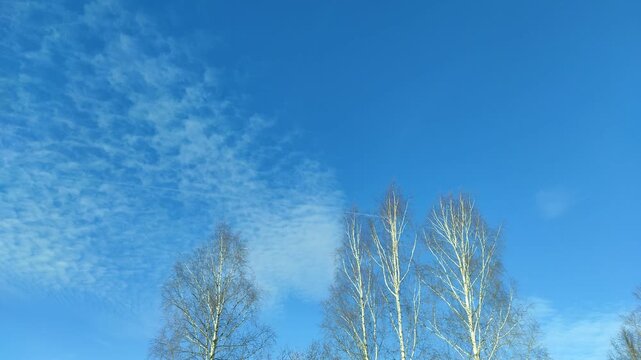 An airplane flies through the sky leaving a white trail behind it