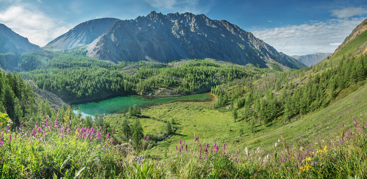 Mountain valley with a lake on a summer day, flowering meadow