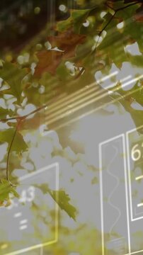 Vertical video: Cam tilting, sun centering, leaves crossing UI, revealing tech data for UI testing