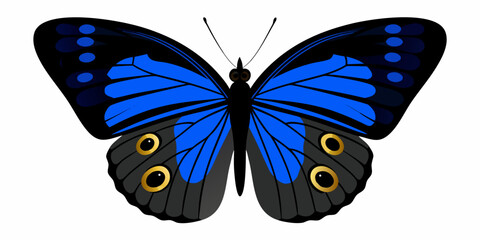 A vibrant blue morpho butterfly with detailed wing patterns is displayed © KrishnaPada