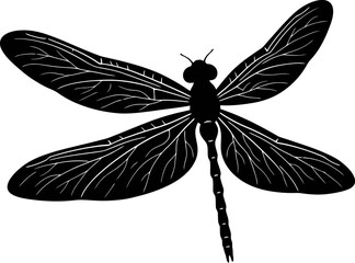 Dragonfly Silhouette © SHEULI
