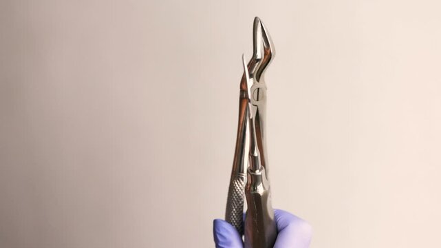 Macro view of dentist holding extraction forceps and root tip elevator showing professional dental surgery instruments prepared for precise tooth removal and clinical oral healthcare treatmen