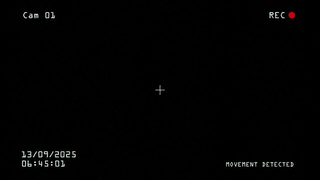 Infrared CCTV monitoring screen with target crosshair and recording symbol designed for security footage