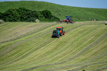 Hay harvest on rolling hills with tractors in summer, Shibecha, Hokkaido, Japan © 多田 智