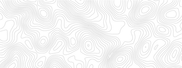 Geometric contour line seamless pattern abstract topographic grid landscape map modern technology white background © Romana