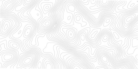Geometric contour line seamless pattern abstract topographic grid landscape map modern technology white background © Romana