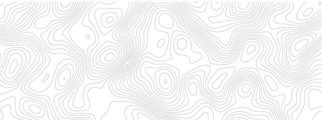 Abstract topographic contour grid seamless pattern geometric landscape line map discovery technology white background © Romana