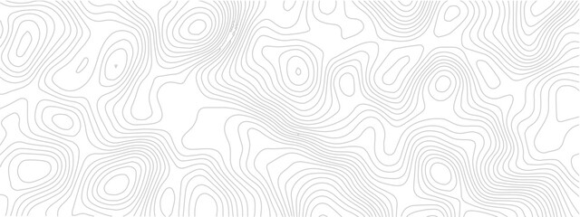 Abstract topographic contour grid seamless pattern geometric landscape line map discovery technology white background © Romana