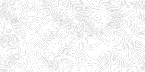 Topographic contour line geometric seamless pattern abstract landscape grid map technology modern white background © Romana
