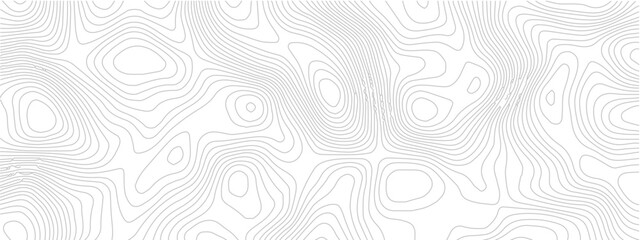 Modern topographic map line seamless pattern abstract geometric contour grid landscape technology white background © Romana