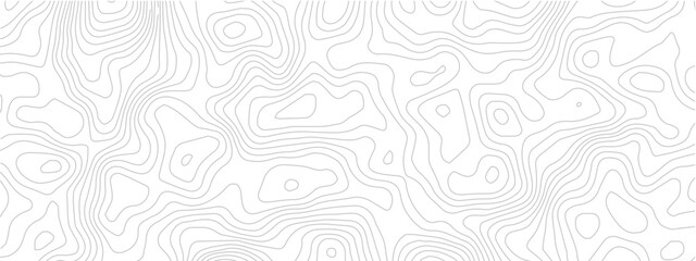 Modern topographic map line seamless pattern abstract geometric contour grid landscape technology white background © Romana