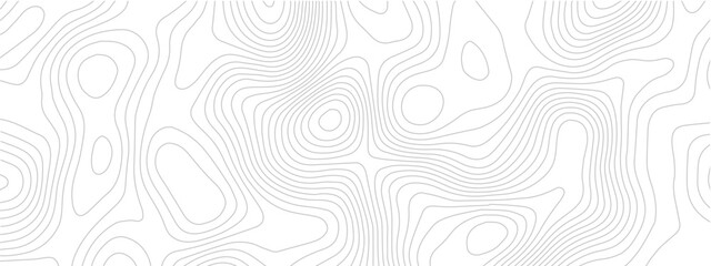 Abstract topography line seamless pattern with geometric contour grid map modern technology background white design © Romana