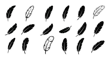 Collection of black feathers in various arrangements a striking silhouette © Rakib