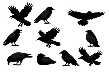Obraz premium Various silhouettes of birds displayed in different poses and angles